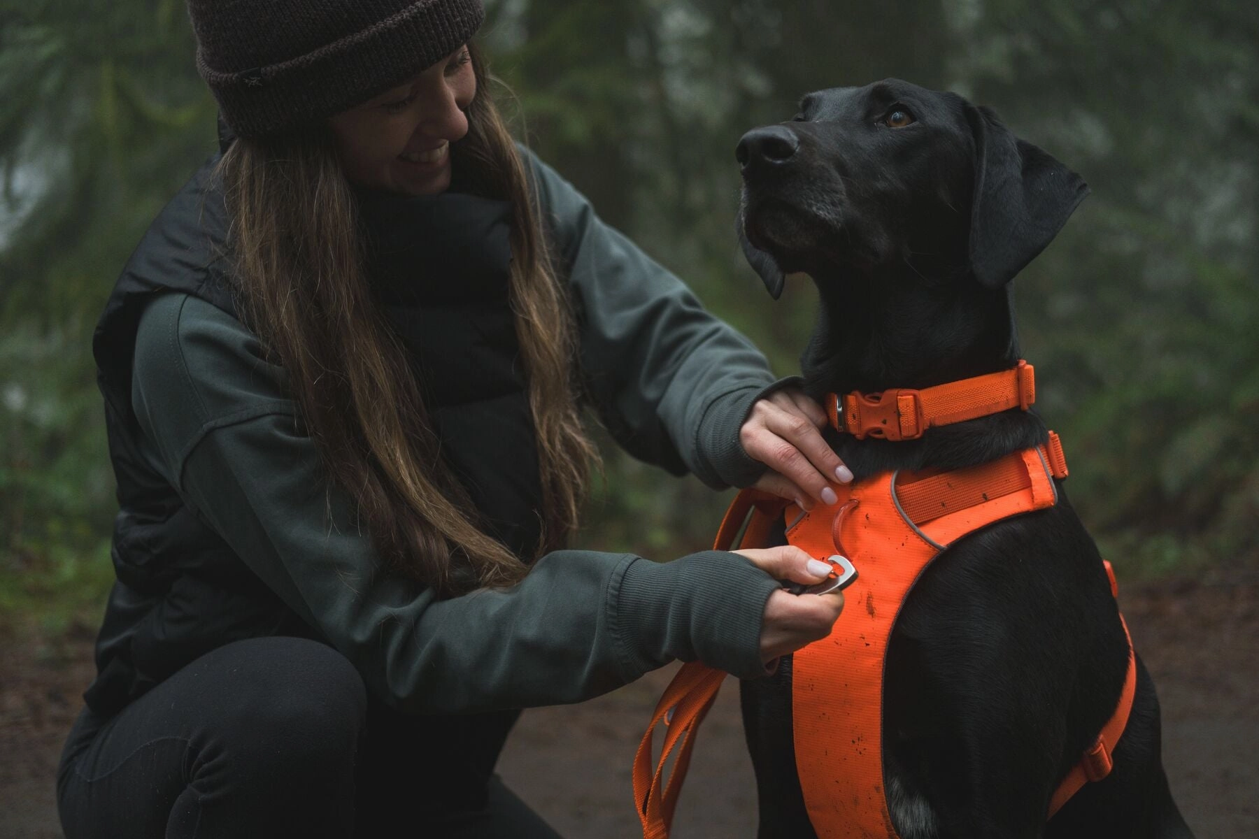 Ruffwear Front Range? Padded Dog Harness (Blaze Orange)