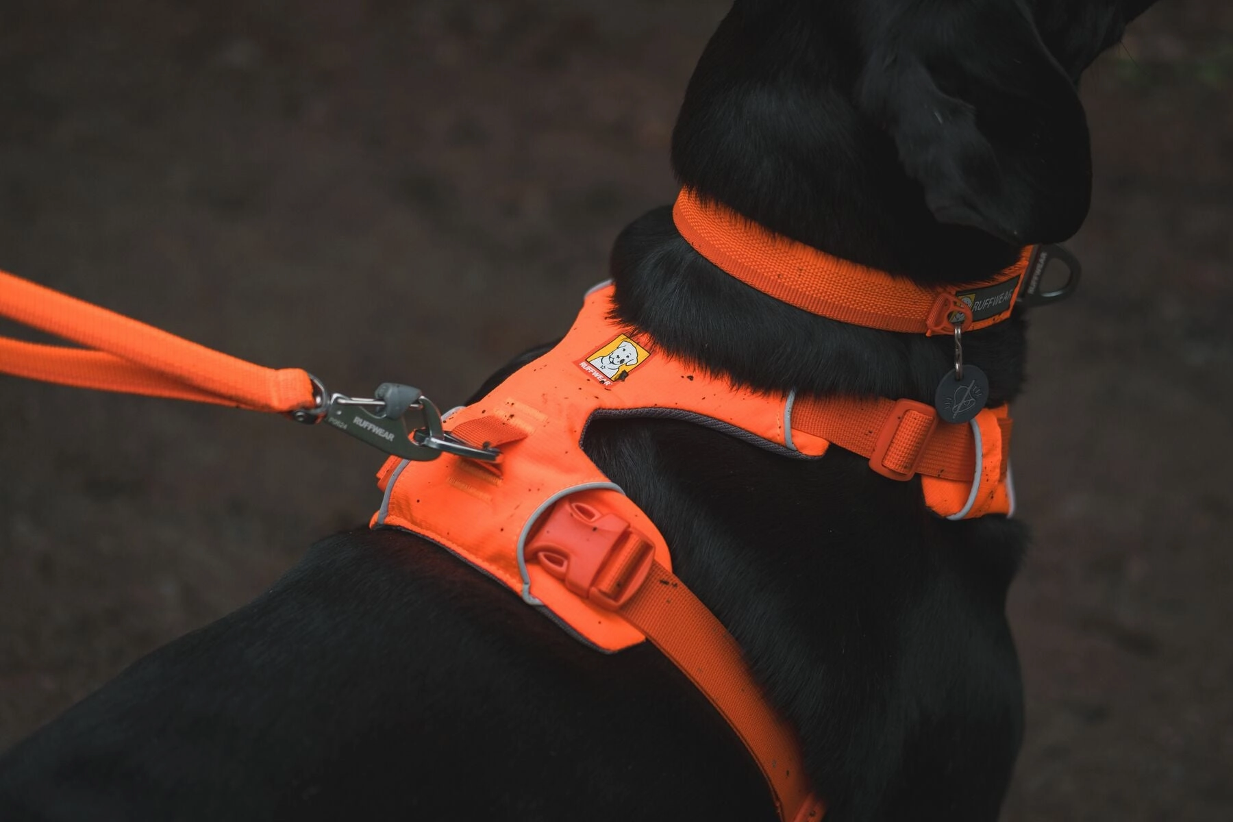 Ruffwear Front Range? Padded Dog Harness (Blaze Orange)