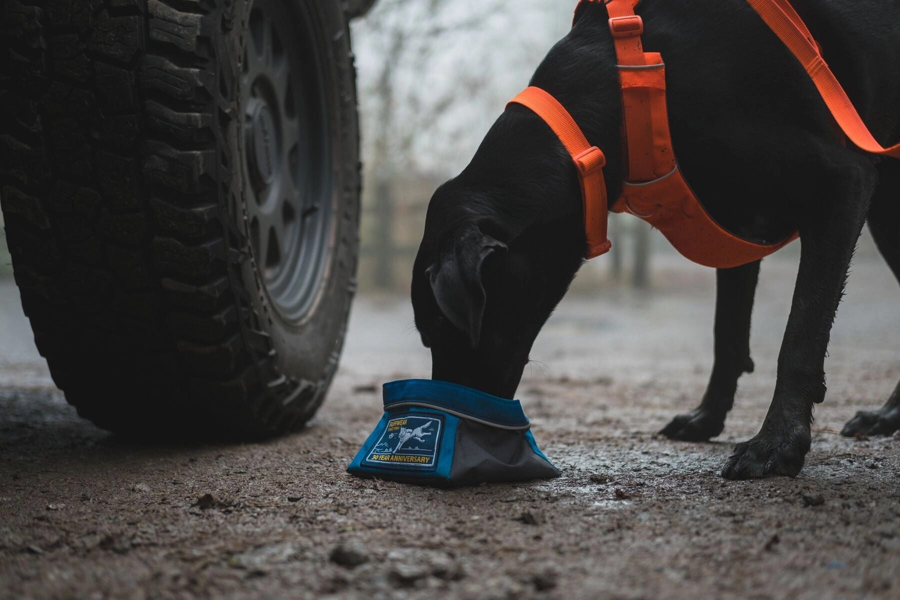 Ruffwear Front Range? Padded Dog Harness (Blaze Orange)