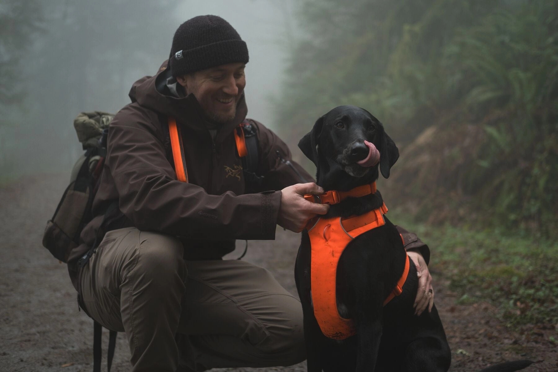 Ruffwear Front Range? Padded Dog Harness (Blaze Orange)