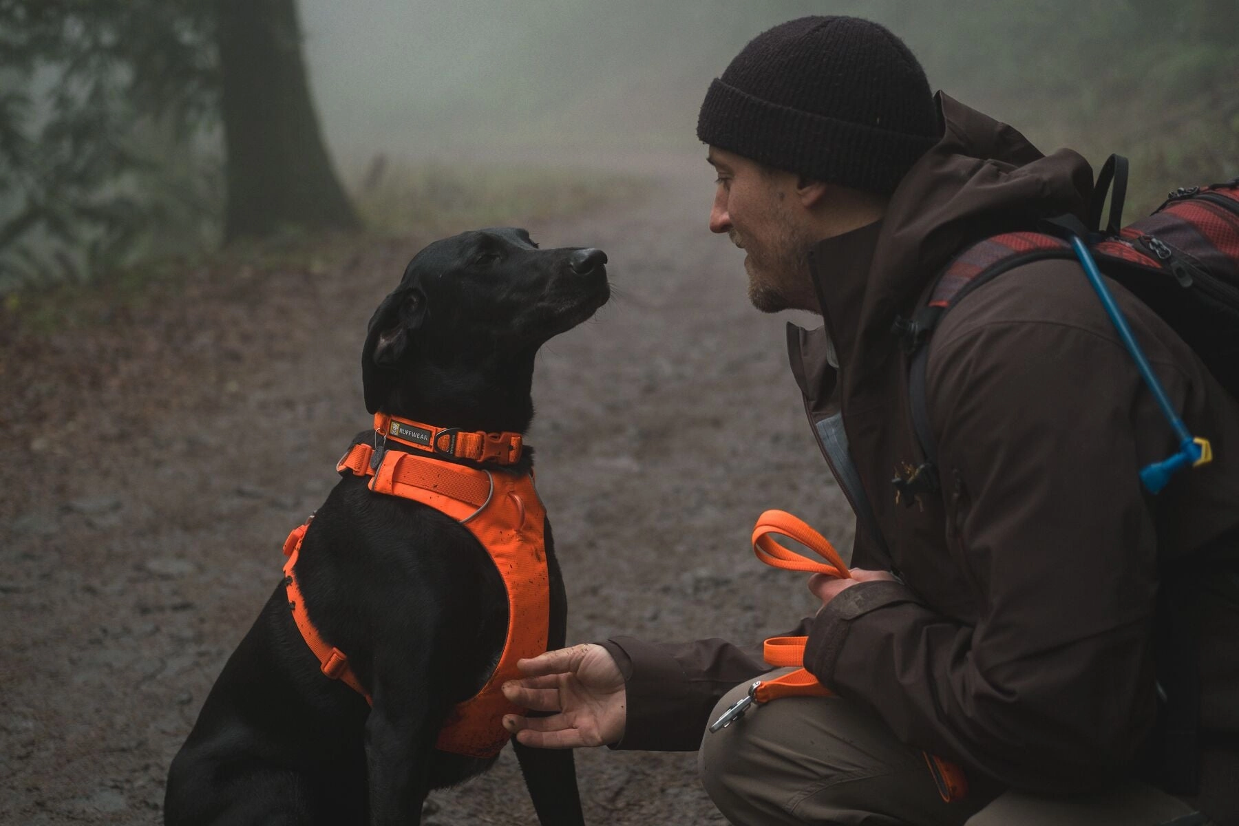 Ruffwear Front Range? Padded Dog Harness (Blaze Orange)