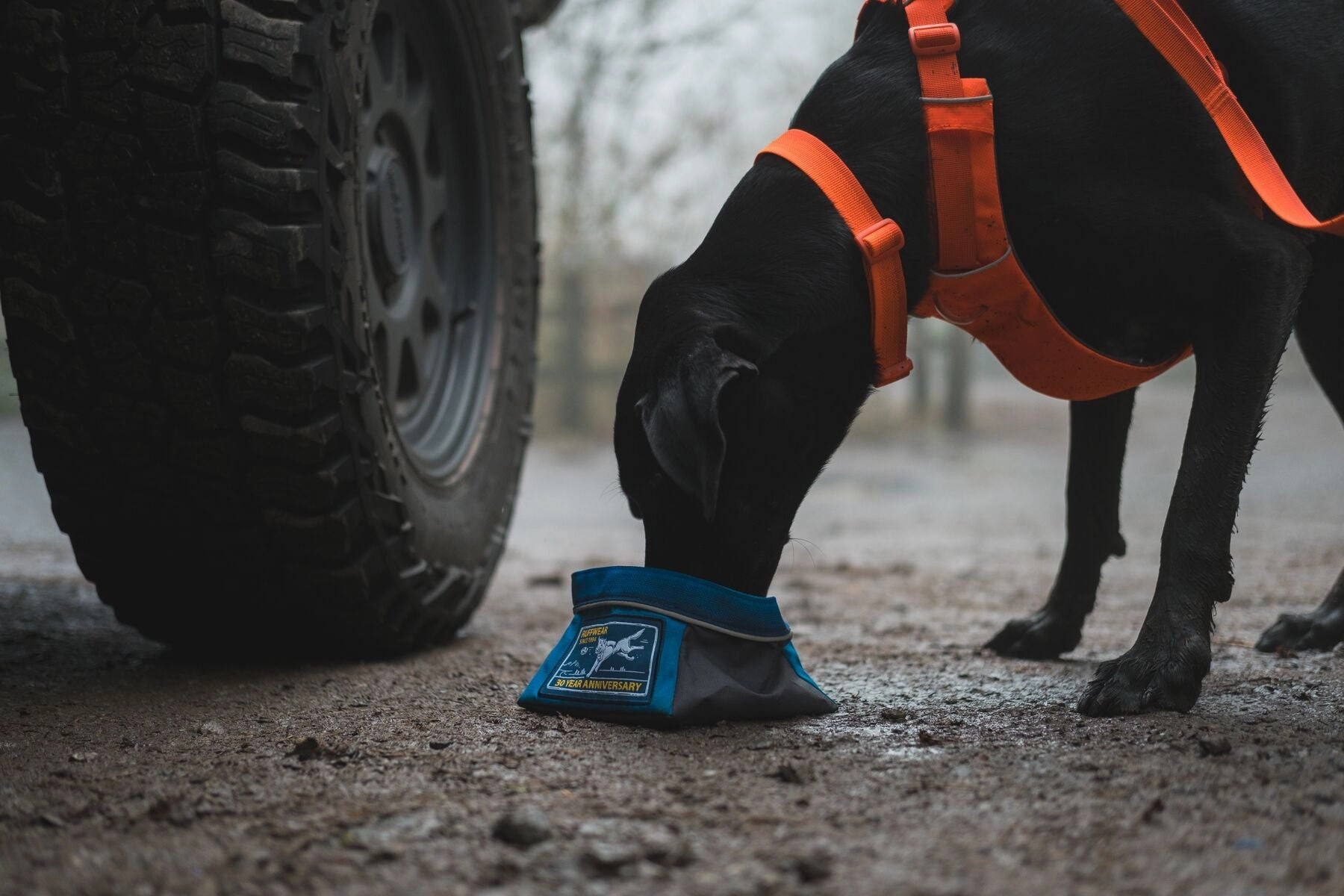 Ruffwear Front Range? Padded Dog Harness (Blaze Orange)
