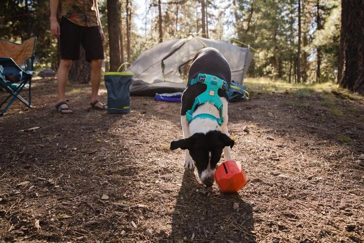Ruffwear Front Range? Padded Dog Harness (Blue Moon)