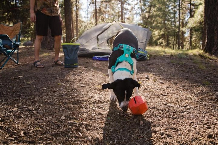 Ruffwear Front Range? Padded Dog Harness (Blue Moon)