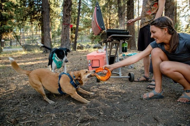 Ruffwear Front Range? Padded Dog Harness (Blue Moon)