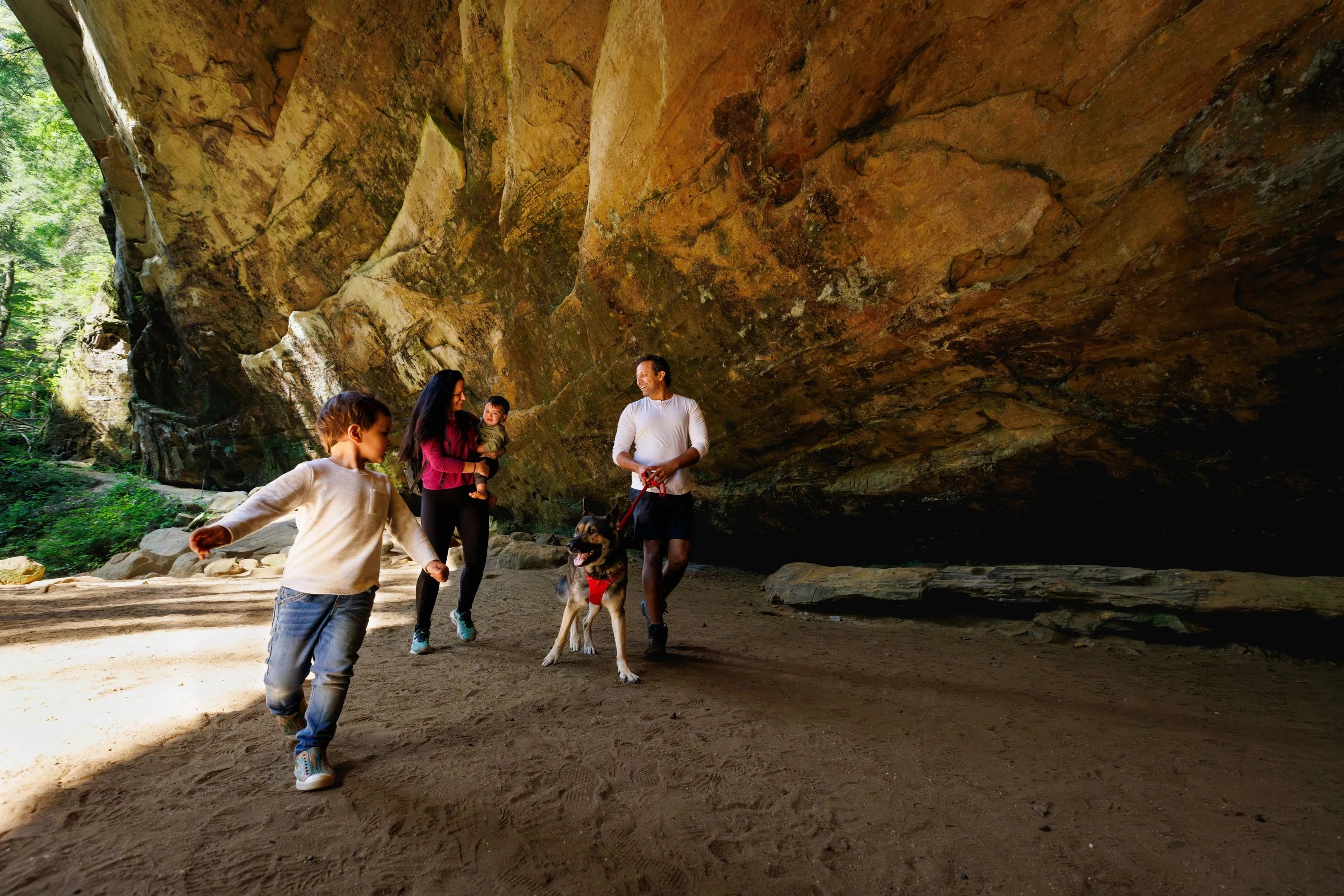 Ruffwear Front Range? Padded Dog Harness (Red Canyon)