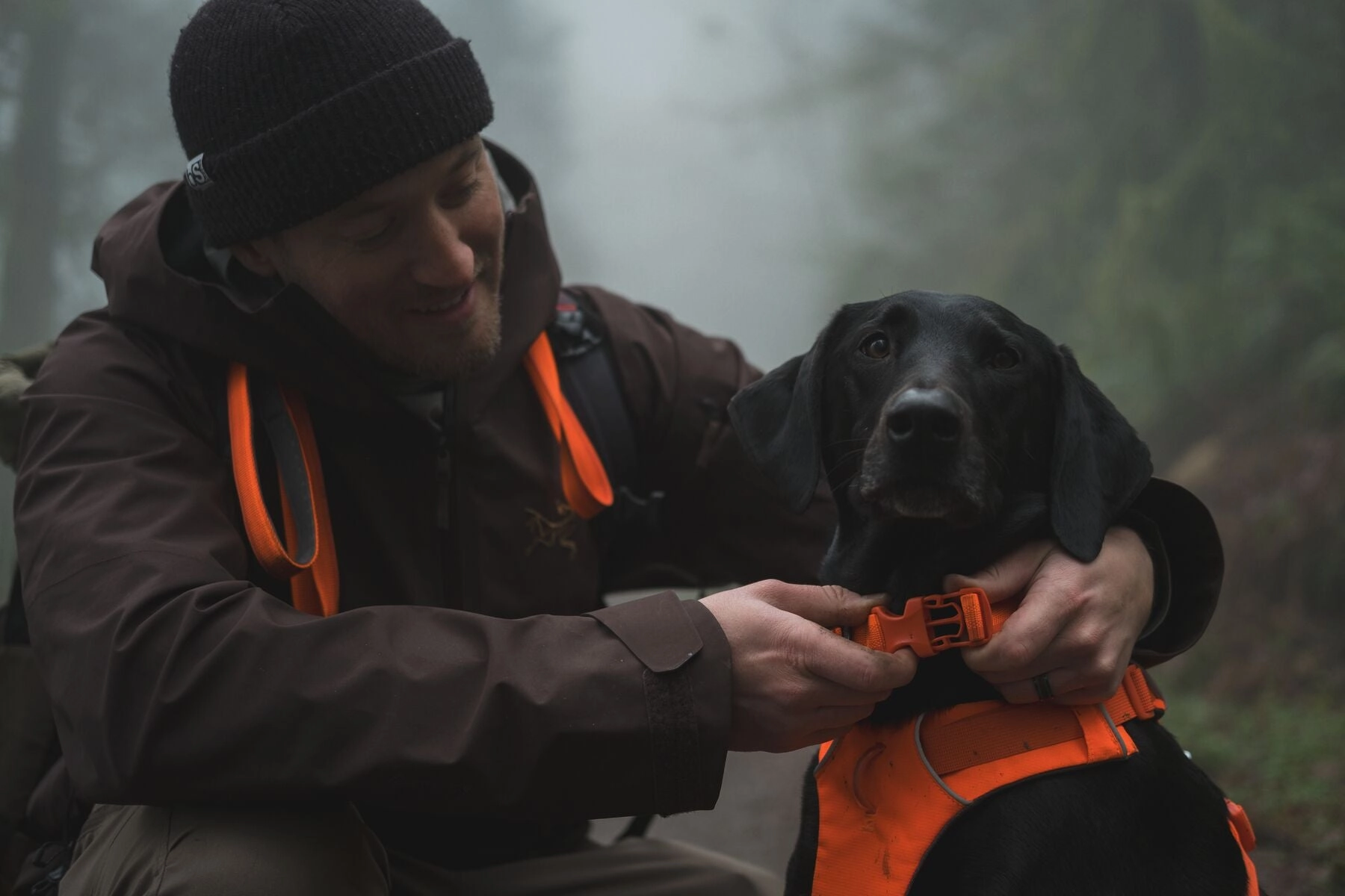 Ruffwear Front Range? Soft & Durable Everyday Dog Collar (Blaze Orange)