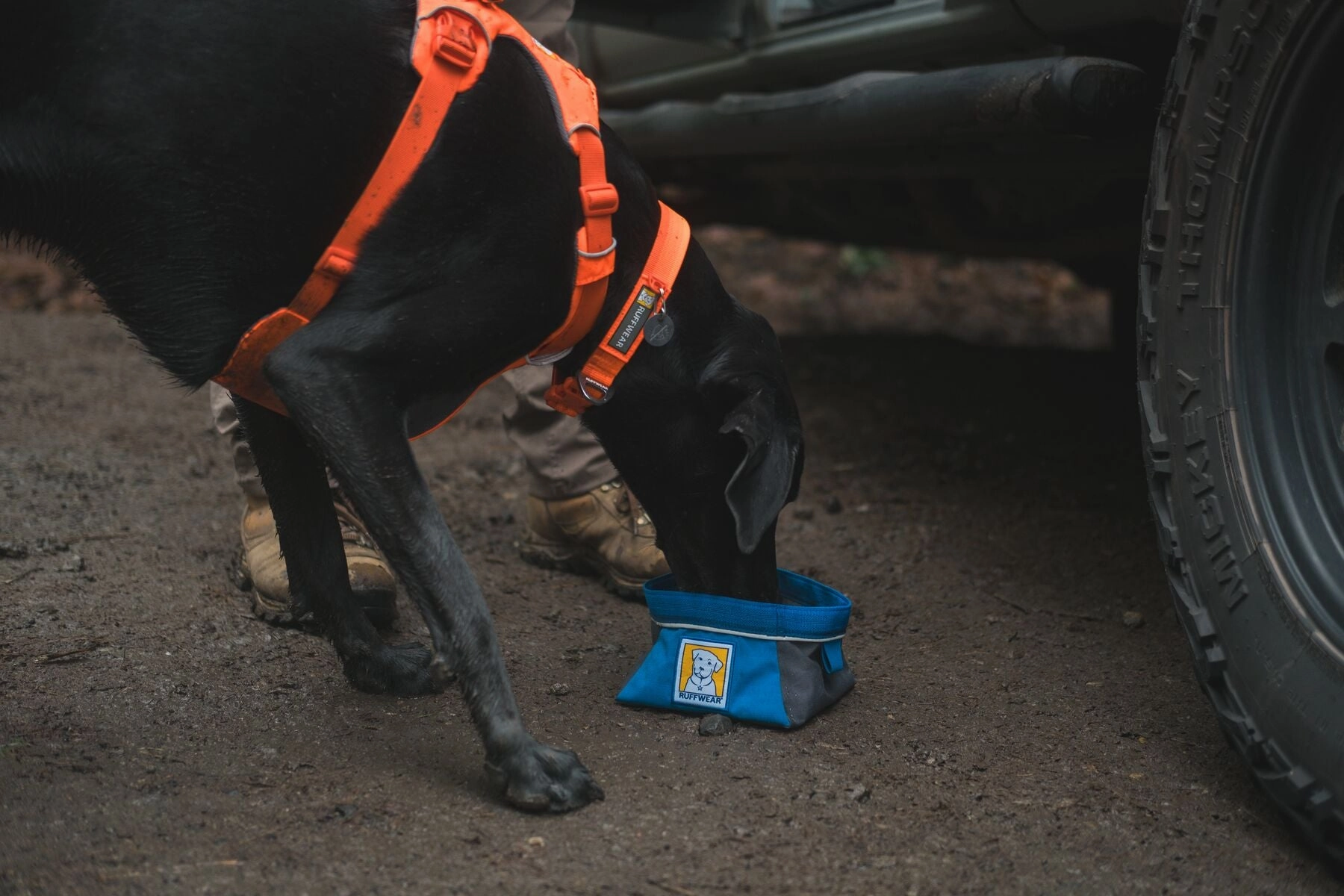 Ruffwear Front Range? Soft & Durable Everyday Dog Collar (Blaze Orange)
