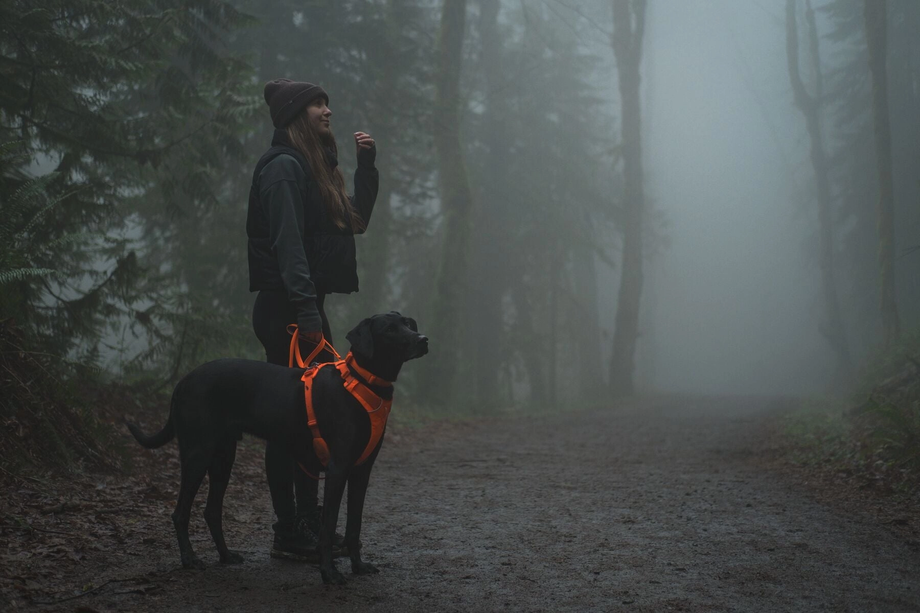 Ruffwear Front Range? Soft & Durable Everyday Dog Collar (Blaze Orange)