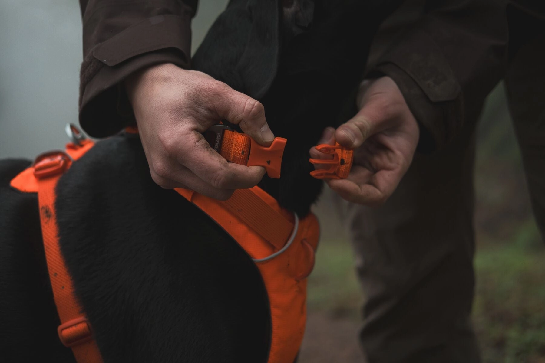 Ruffwear Front Range? Soft & Durable Everyday Dog Collar (Blaze Orange)