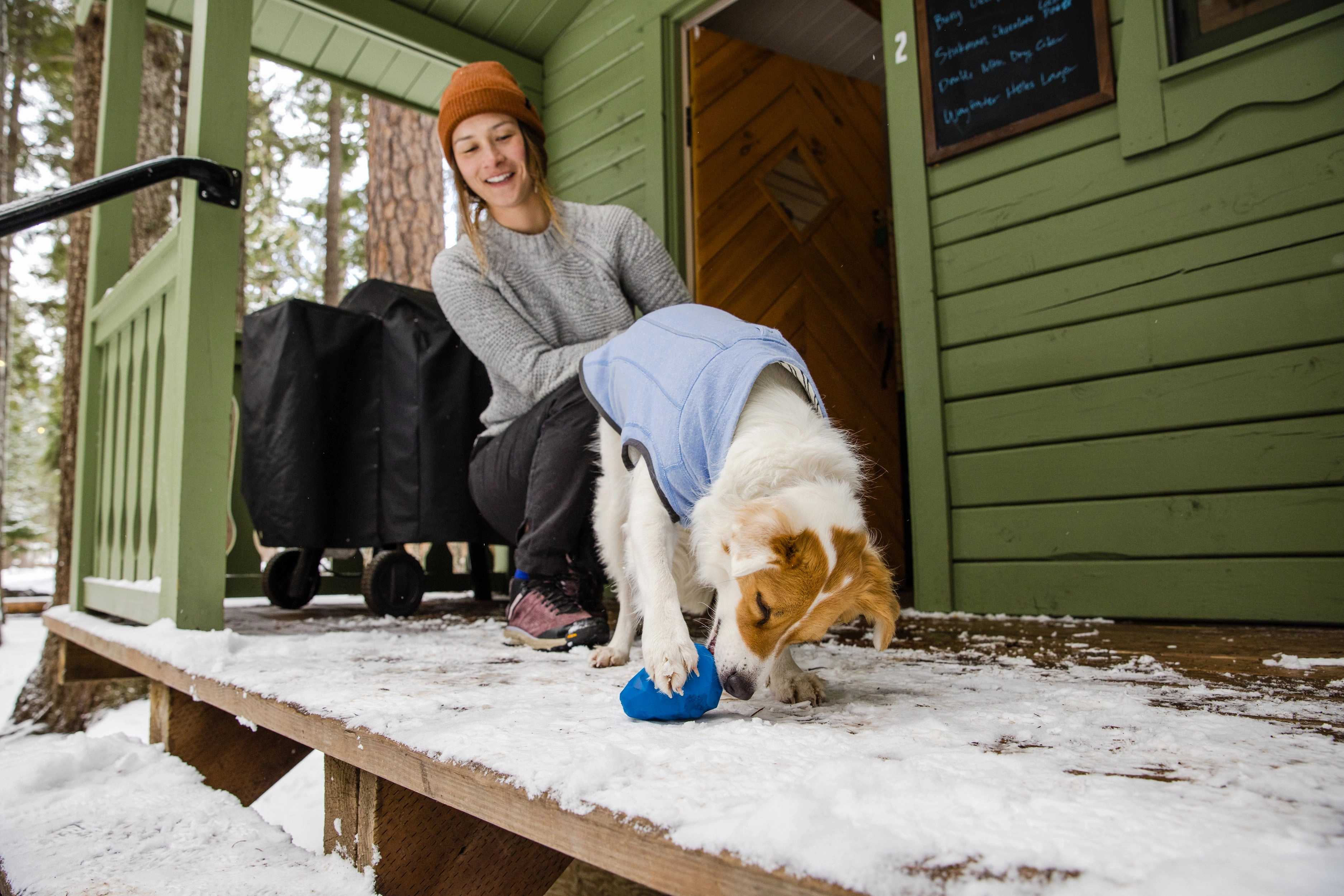 Ruffwear Gnawt-a-Cone Natural Rubber Treat Dispenser Throw Dog Toy (Glacial Blue)