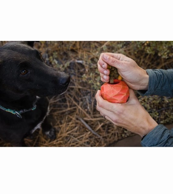 Ruffwear Gnawt-a-Cone Natural Rubber Treat Dispenser Throw Dog Toy (Red Sumac)