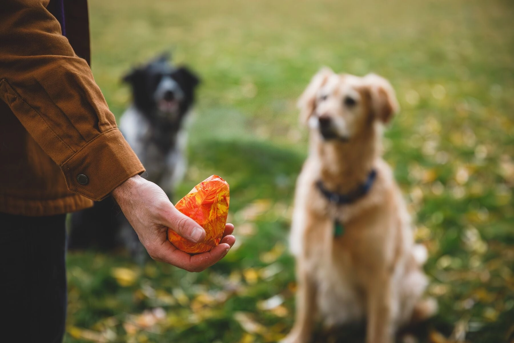 Ruffwear Gnawt-a-Cone Natural Rubber Treat Dispenser Throw Dog Toy (Salamander Orange)