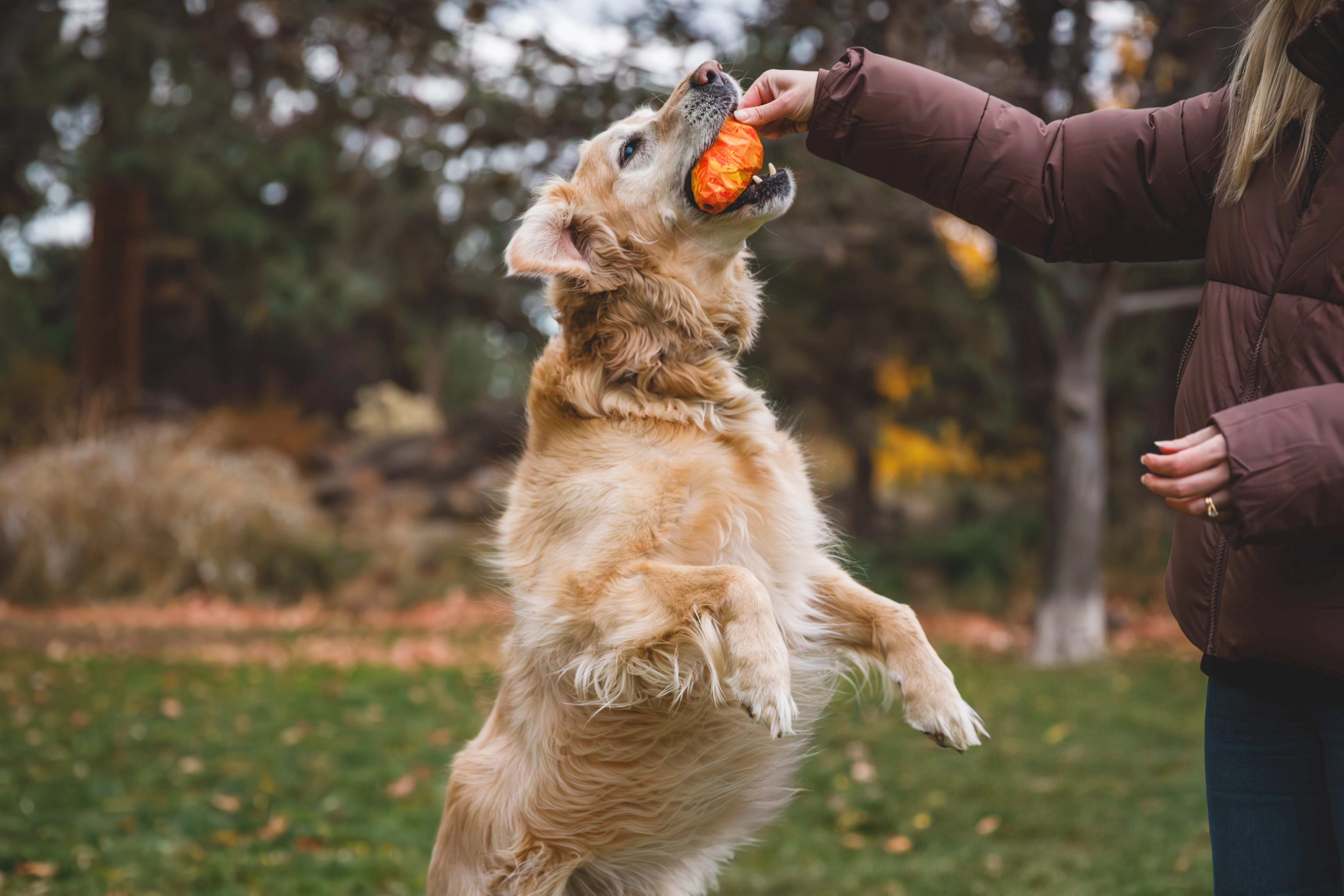 Ruffwear Gnawt-a-Cone Natural Rubber Treat Dispenser Throw Dog Toy (Salamander Orange)