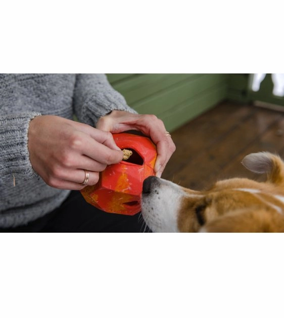 Ruffwear Gnawt-a-Rock Natural Rubber Treat Dispenser Throw Dog Toy (Blue Pool)