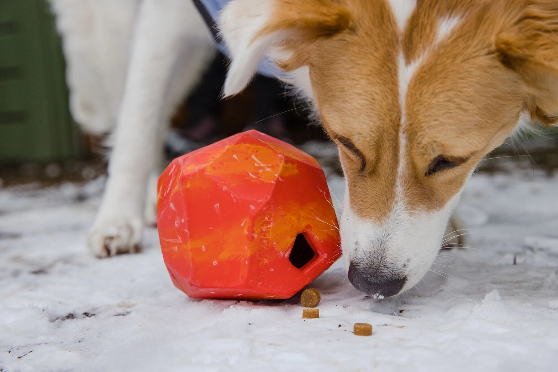 Ruffwear Gnawt-a-Rock Natural Rubber Treat Dispenser Throw Dog Toy (Salamander Orange)