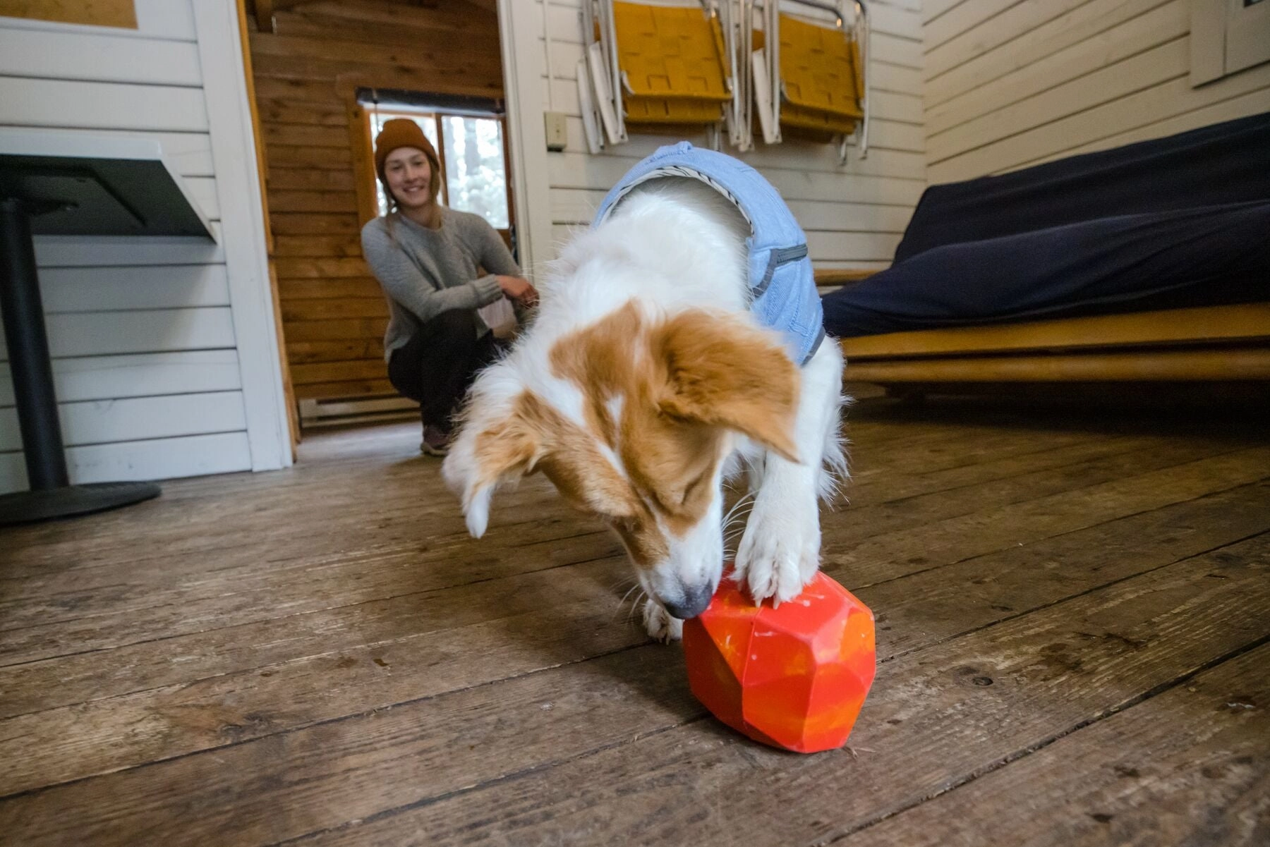 Ruffwear Gnawt-a-Rock Natural Rubber Treat Dispenser Throw Dog Toy (Salamander Orange)