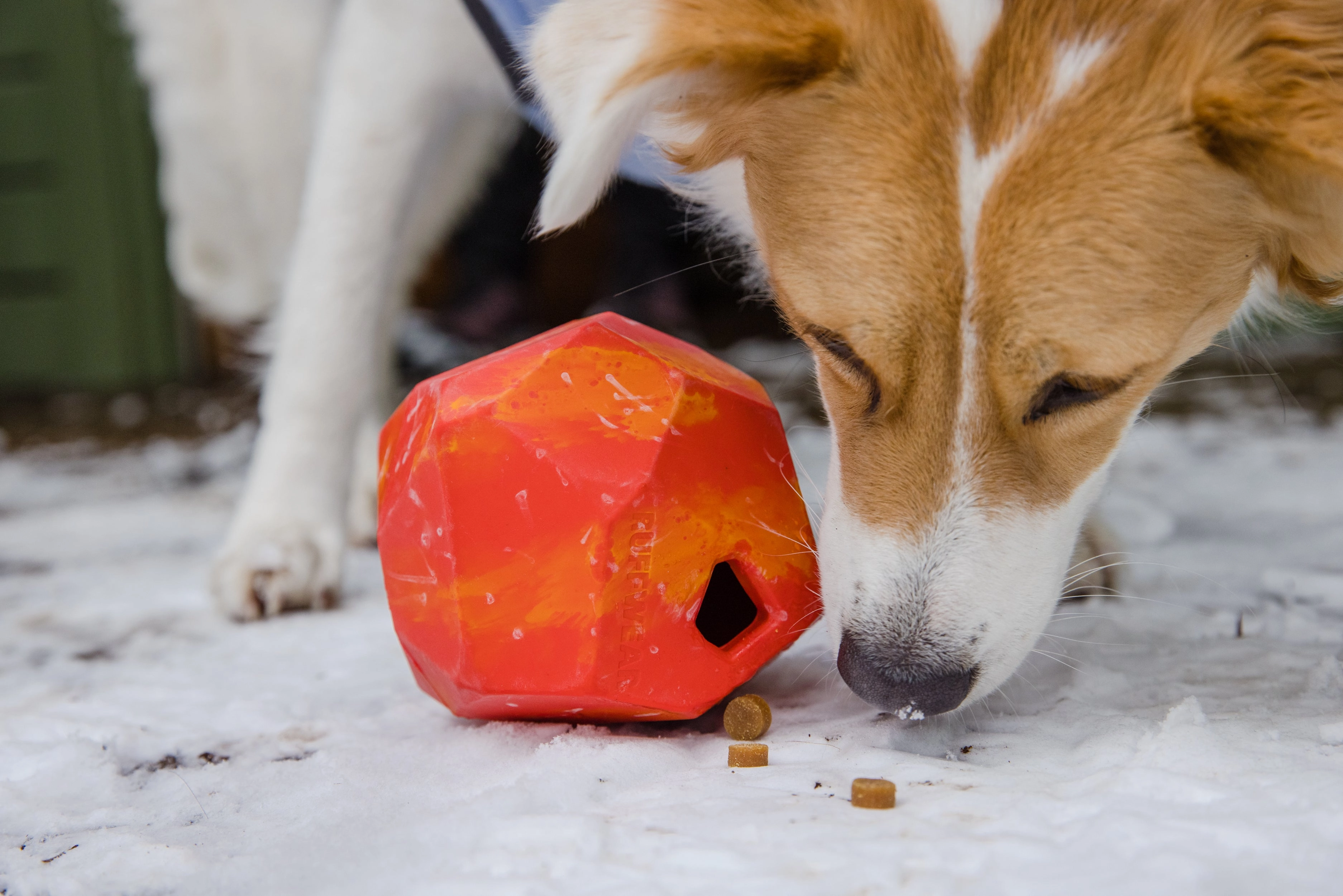 Ruffwear Gnawt-a-Rock Natural Rubber Treat Dispenser Throw Dog Toy (Salamander Orange)