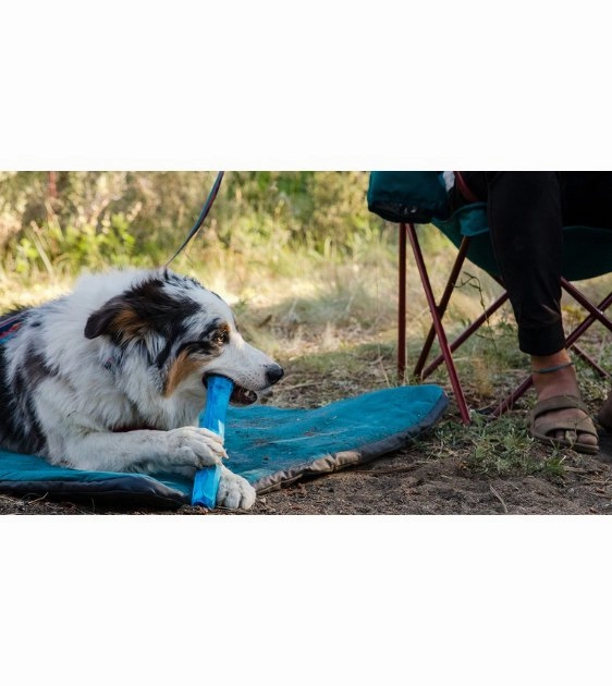 Ruffwear Gnawt-a-Stick Natural Rubber Throw Dog Toy (Red Sumac)