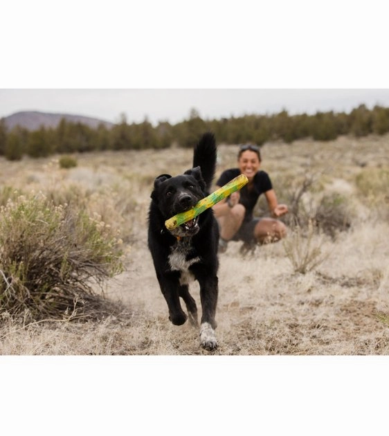 Ruffwear Gnawt-a-Stick Natural Rubber Throw Dog Toy (Red Sumac)