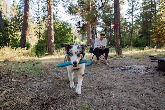 Ruffwear Gnawt-a-Stick Rubber Floating Fetch Dog Toy