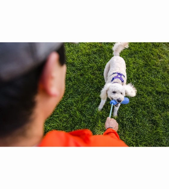 Ruffwear Gourdo Interactive Rubber Throw Dog Toy (Heliotrope Purple)
