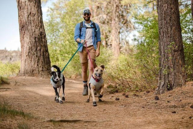 Ruffwear Grip Trex All-Terrain Dog Boots (Obsidian Black)