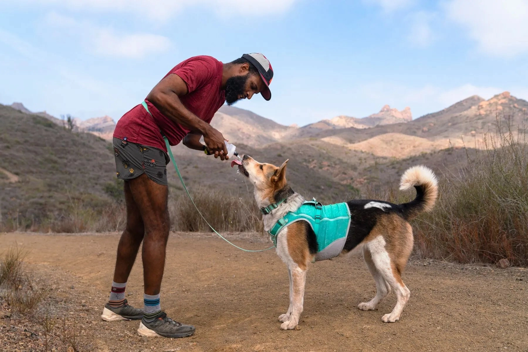 Ruffwear Hi & Light? Lightweight Dog Collar (Alpenglow Pink)