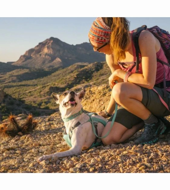 Ruffwear Hi & Light? Lightweight Dog Collar (Blue Dusk)