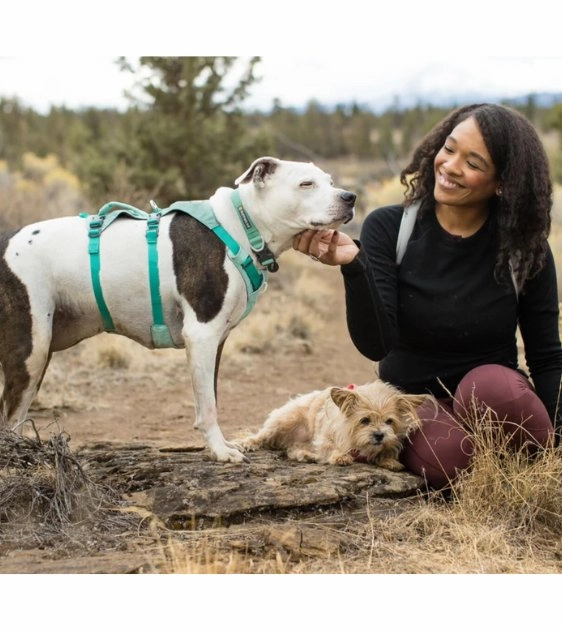 Ruffwear Hi & Light? Lightweight Dog Collar (Lichen Green)