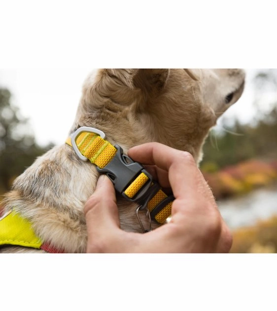 Ruffwear Hi & Light? Lightweight Dog Collar (Lichen Green)