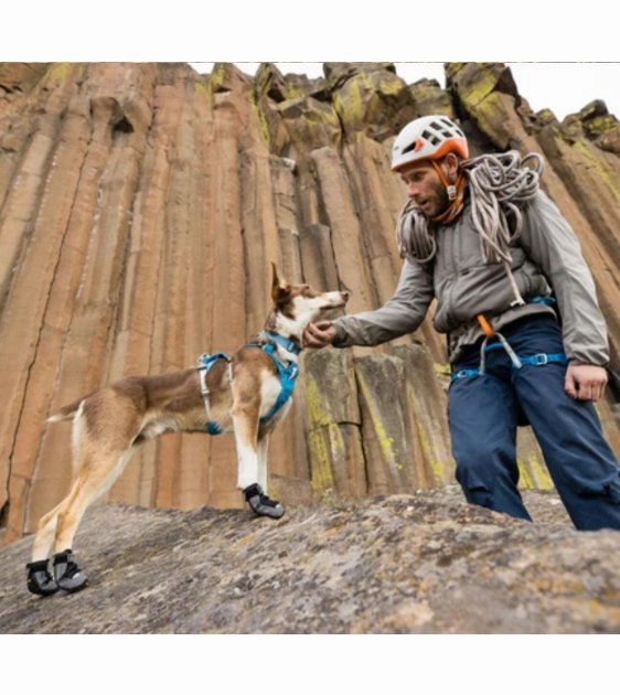 Ruffwear Hi & Light? Lightweight Dog Collar (Salmon Pink)