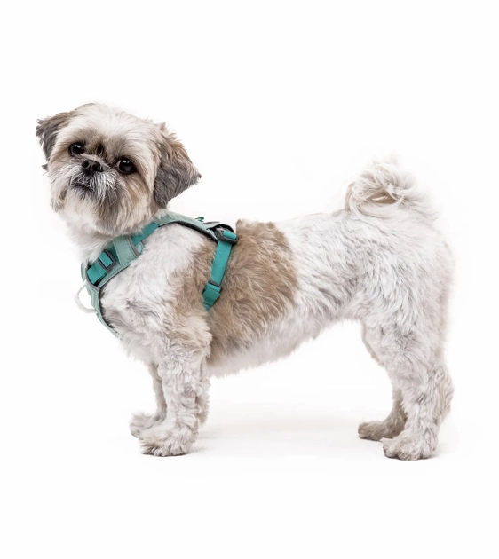 Ruffwear Hi & Light? Lightweight Dog Harness (Basalt Gray)
