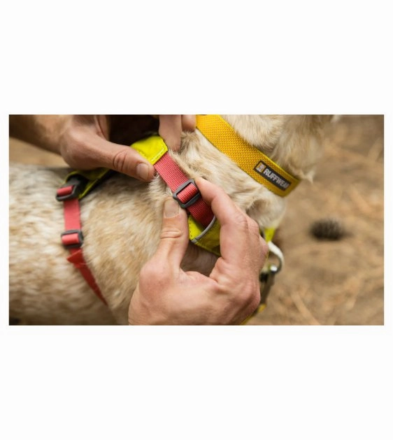Ruffwear Hi & Light? Lightweight Dog Harness (Blue Dusk)
