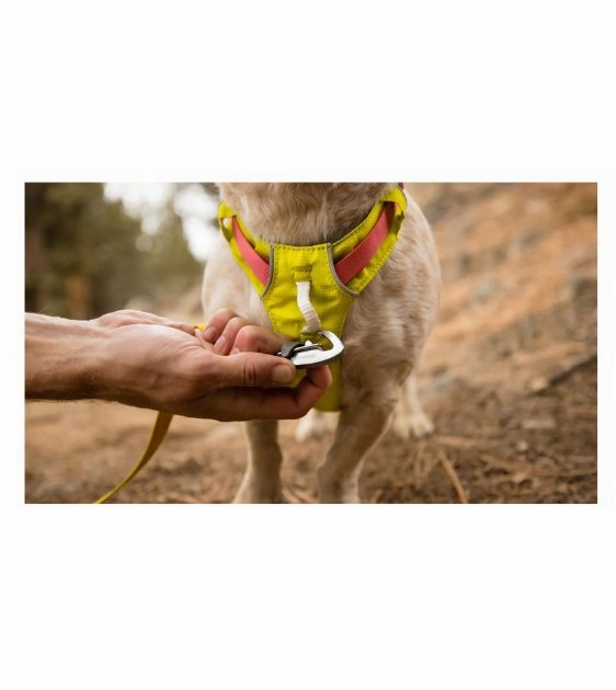 Ruffwear Hi & Light? Lightweight Dog Harness (Blue Dusk)