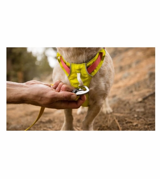 Ruffwear Hi & Light? Lightweight Dog Harness (Salmon Pink)