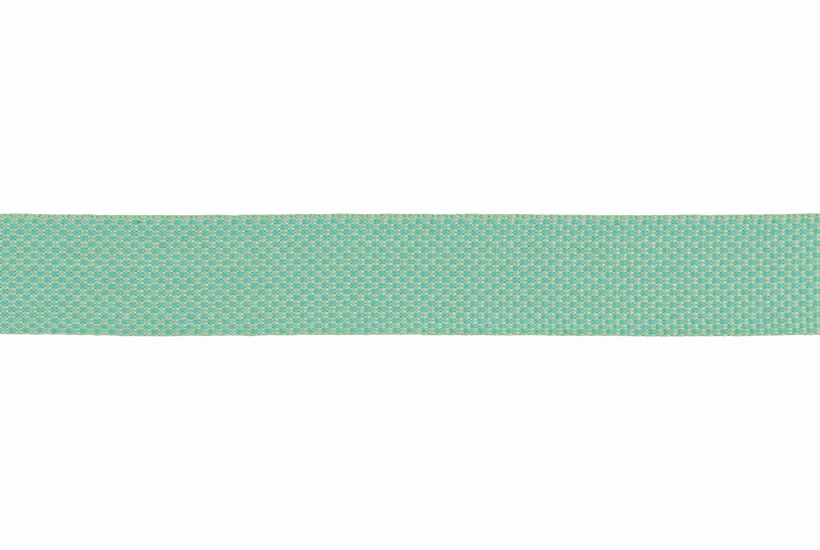 Ruffwear Hi & Light? Lightweight Dog Leash (Sage Green)