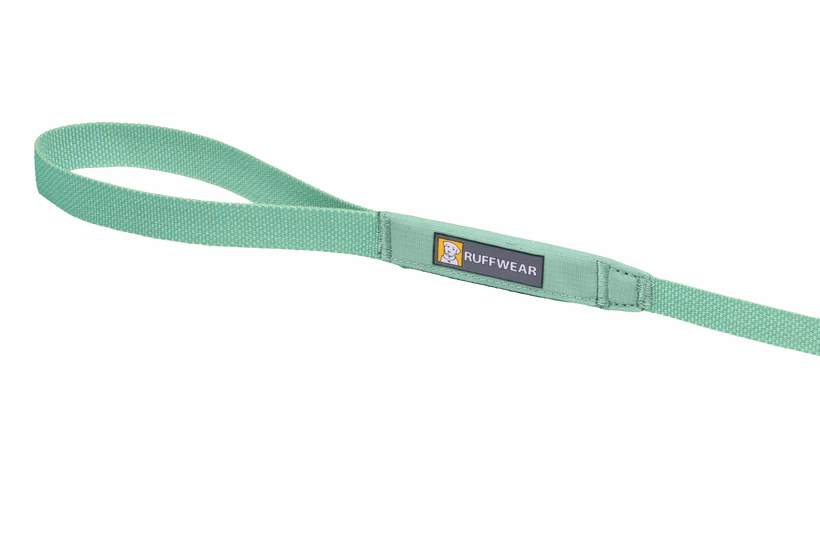 Ruffwear Hi & Light? Lightweight Dog Leash (Sage Green)