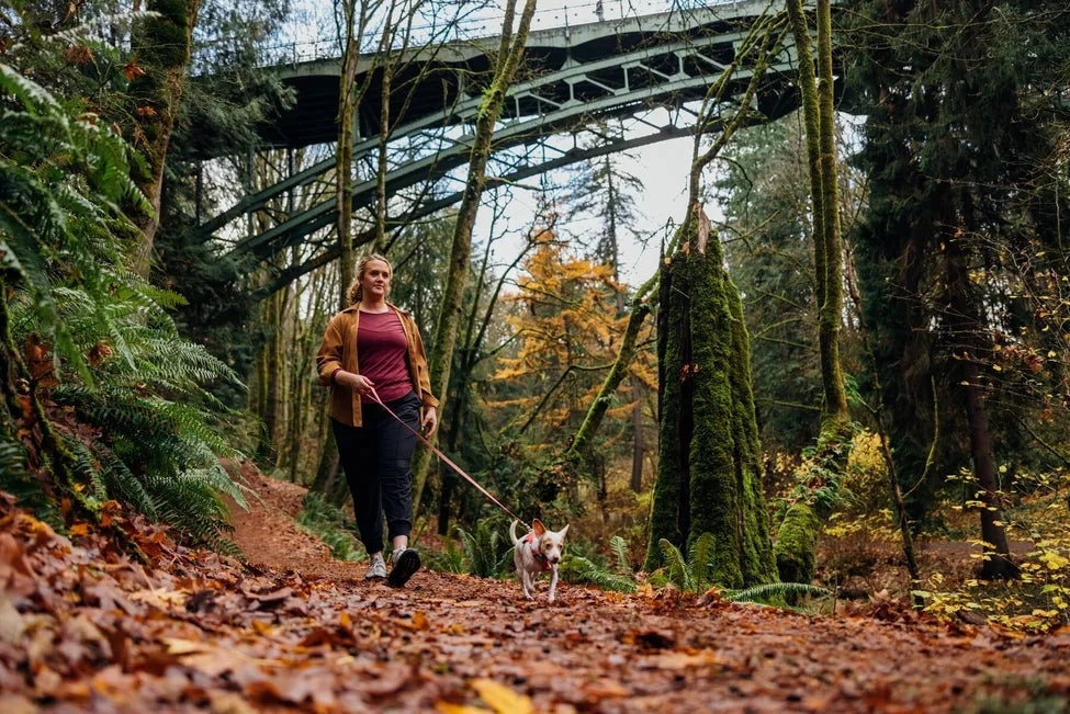 Ruffwear Hi & Light? Lightweight Leash (Alpenglow Pink)