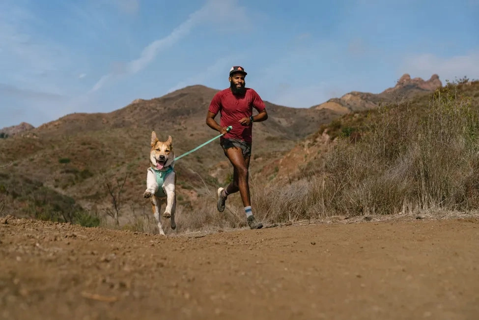Ruffwear Hi & Light? Lightweight Leash (Alpenglow Pink)