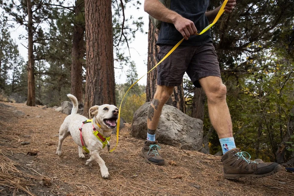 Ruffwear Hi & Light? Lightweight Leash (Alpenglow Pink)