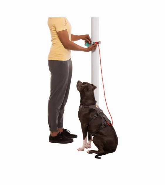 Ruffwear Hitch Hiker? Adjustable & Multi-Use Dog Leash (Aurora Teal)