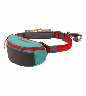 Ruffwear Hitch Hiker? Adjustable & Multi-Use Dog Leash (Aurora Teal) dog joint care,hip support