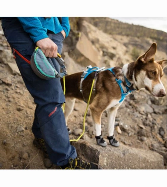 Ruffwear Hitch Hiker? Adjustable & Multi-Use Dog Leash (Aurora Teal)