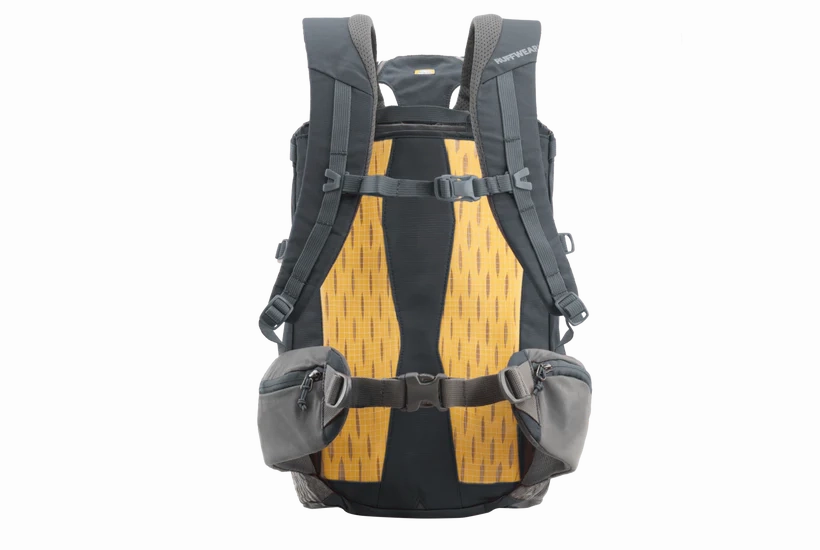 Ruffwear Hitch Hiker? Lightweight Technical Dog Backpack Carrier (Basalt Gray)