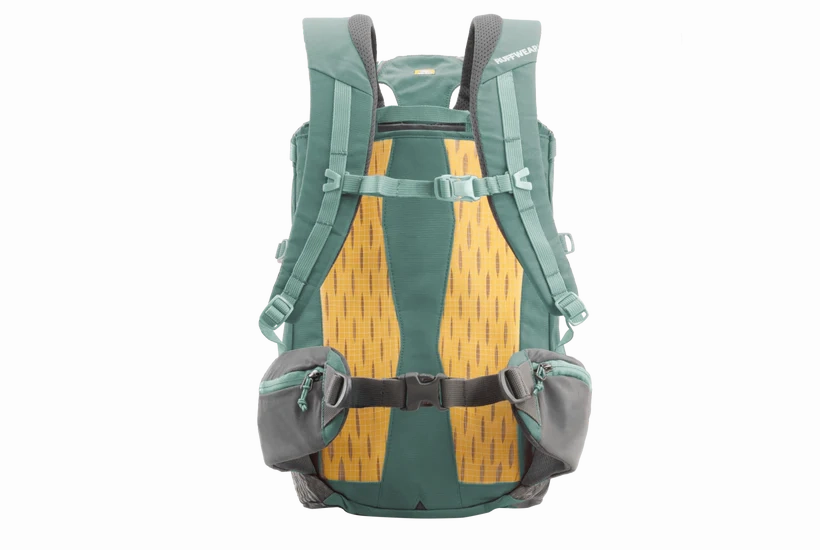 Ruffwear Hitch Hiker? Lightweight Technical Dog Backpack Carrier (River Rock Green)