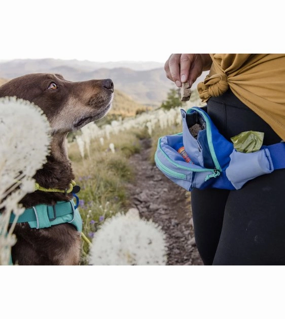 Ruffwear Home Trail Waist-Worn Hip Pack (Red Sumac)