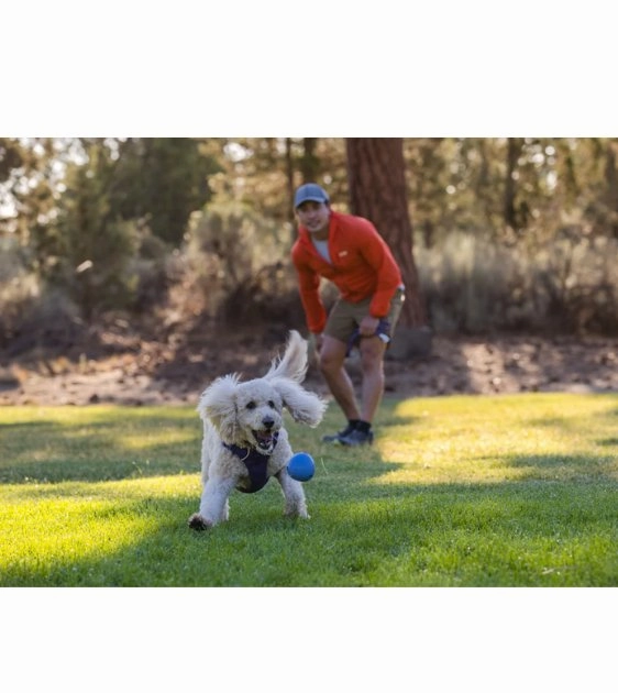 Ruffwear Huckama Interactive Rubber Throw Dog Toy (Campfire Orange)