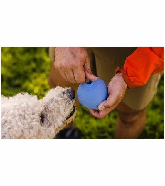 Ruffwear Huckama Interactive Rubber Throw Dog Toy (Sage Green)