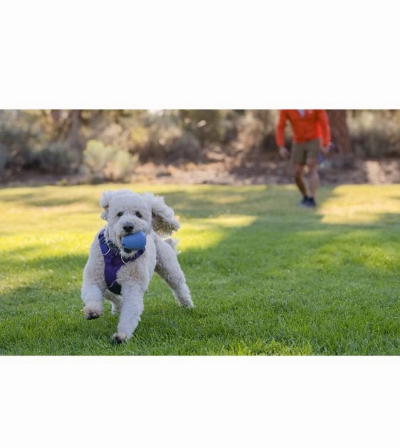Ruffwear Huckama Interactive Rubber Throw Dog Toy (Sage Green)